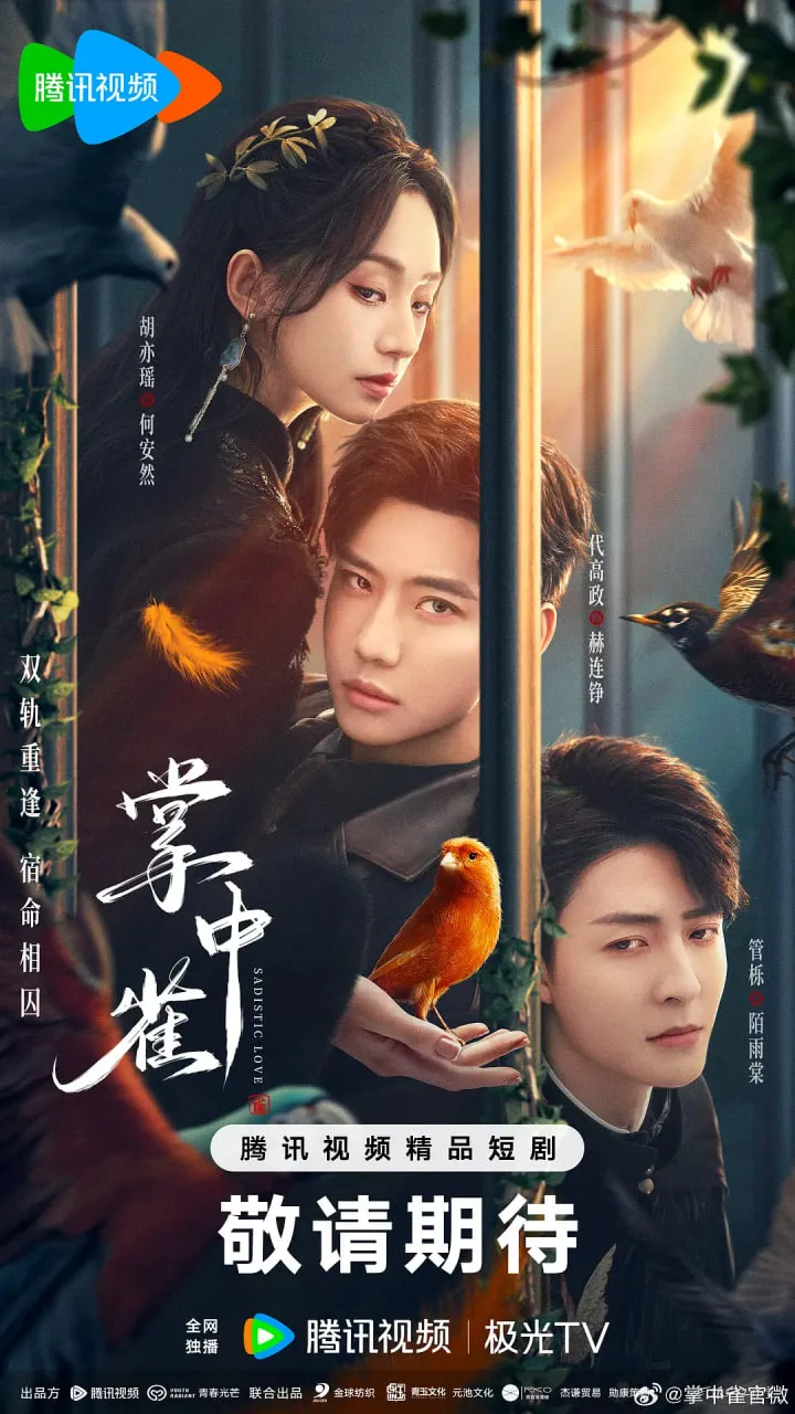 掌中雀海报
